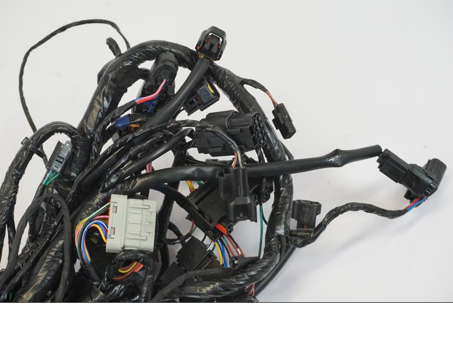 Extrabild2 på Kabelstam från en Triumph Trident -2021 motorcykel.