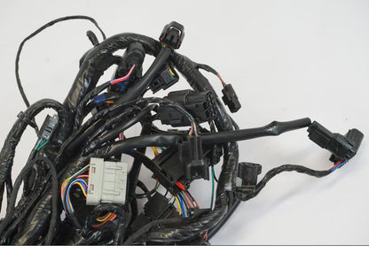 Extrabild2 på Kabelstam från en Triumph Trident -2021 motorcykel.