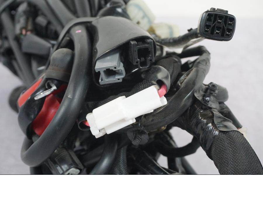 Extrabild5 på Kabelstam från en Kawasaki Z 900 -2019 motorcykel.