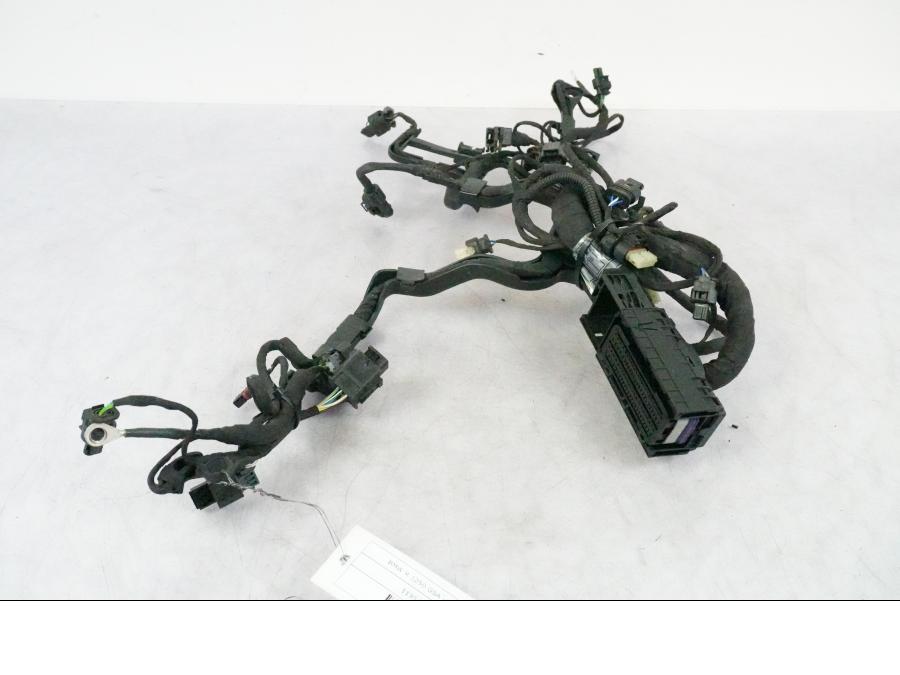 Baksidan på Kabelstam från en BMW R 1250 GSA -2021 motorcykel.