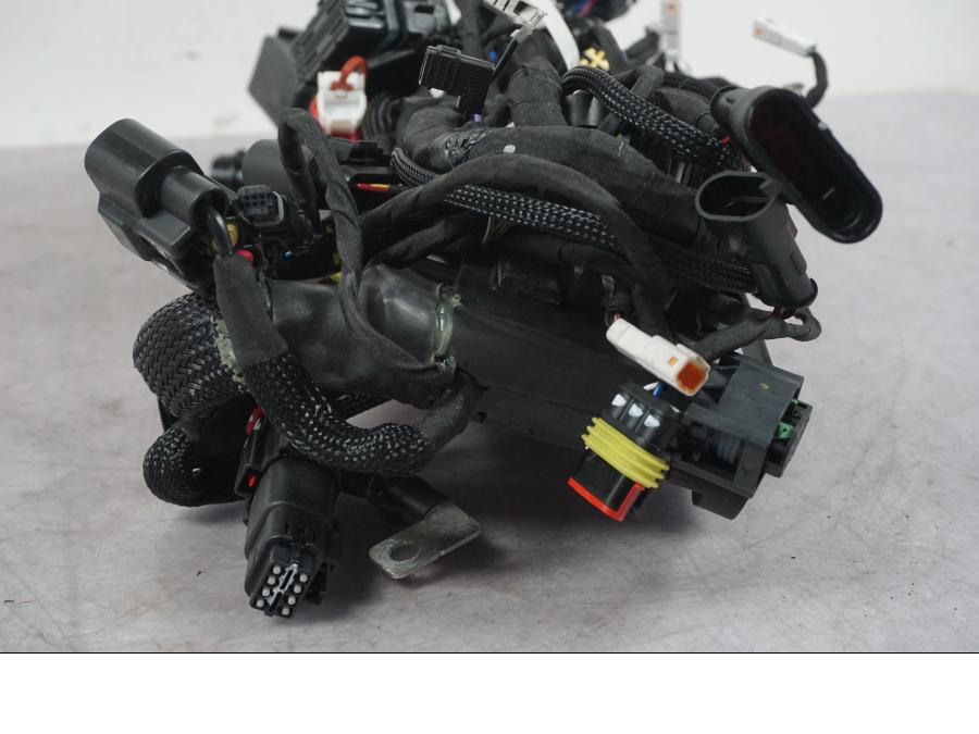 Baksidan på Kabelstam från en Ducati Multistrada V4 -2024 motorcykel.