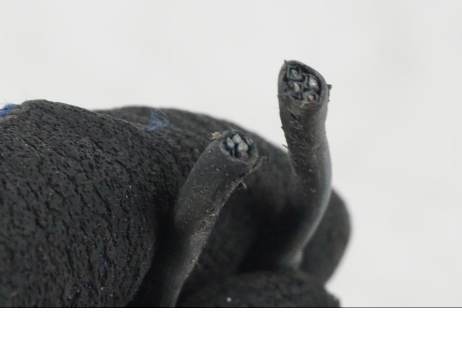 Baksidan på Kablage från en H-D Softail FXCW Rocker -2008 motorcykel.