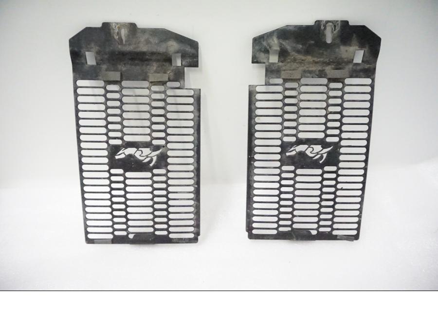 Framsidan på Vattenkylgaller från en BMW R 1200 GSA -2017 motorcykel.