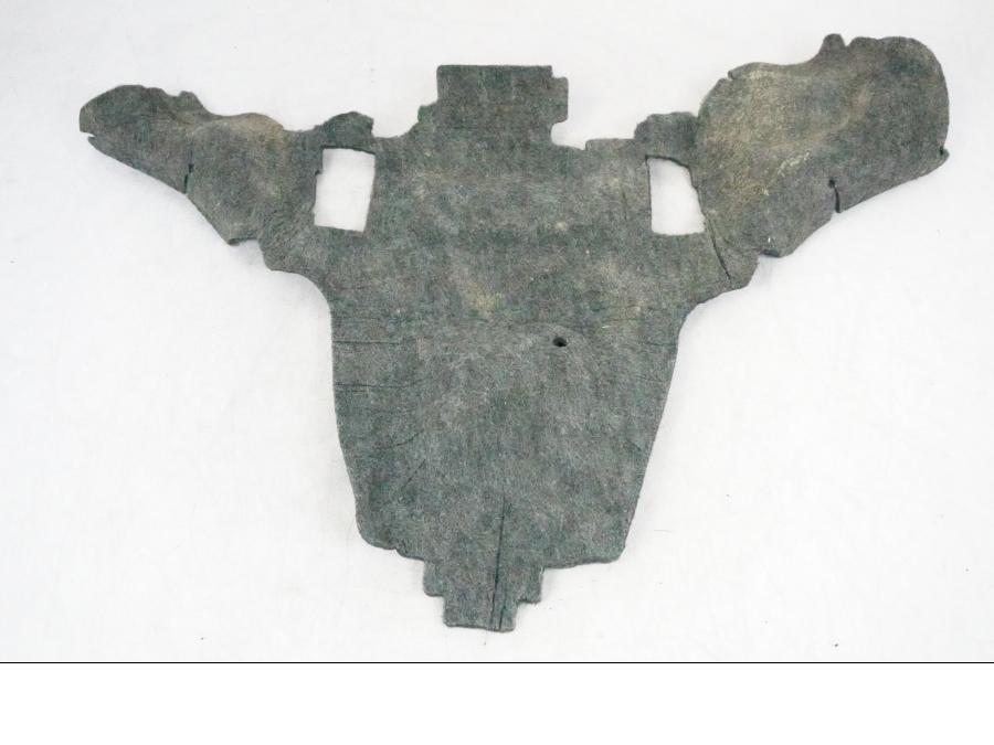 Framsidan på Värmeskydd från en BMW R 1250 GSA -2021 motorcykel.