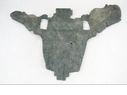 Framsidan på Värmeskydd från en BMW R 1250 GSA -2021 motorcykel.