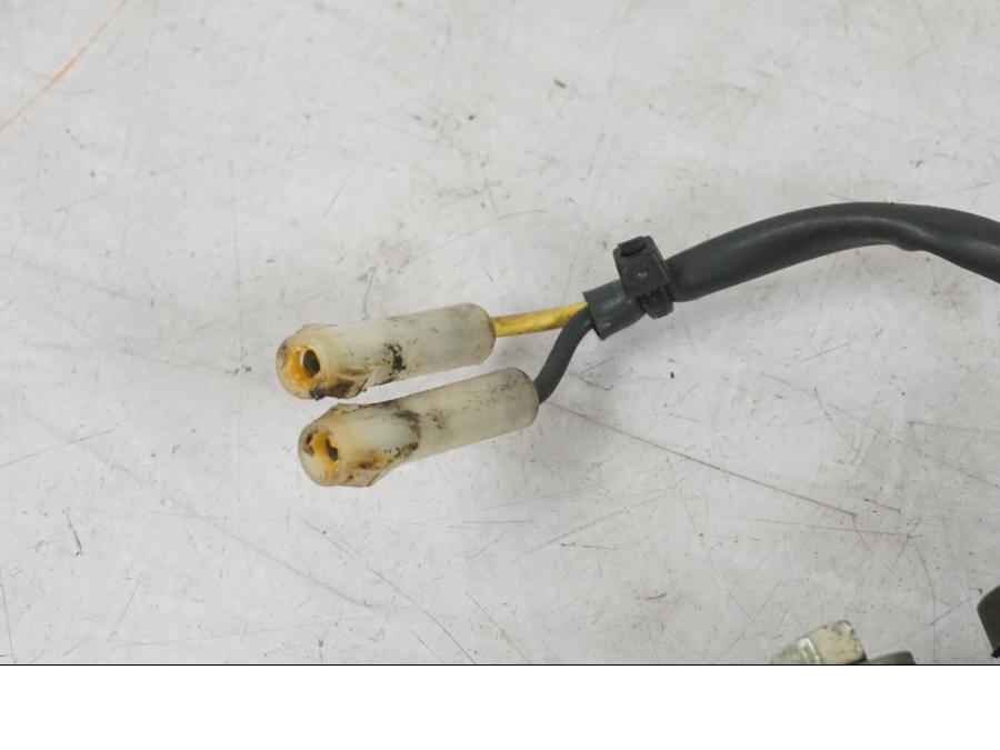 Baksidan på Skyltbelysning från en Triumph Daytona 955I -2000 motorcykel.