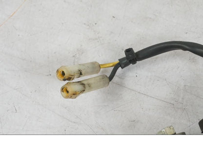 Baksidan på Skyltbelysning från en Triumph Daytona 955I -2000 motorcykel.