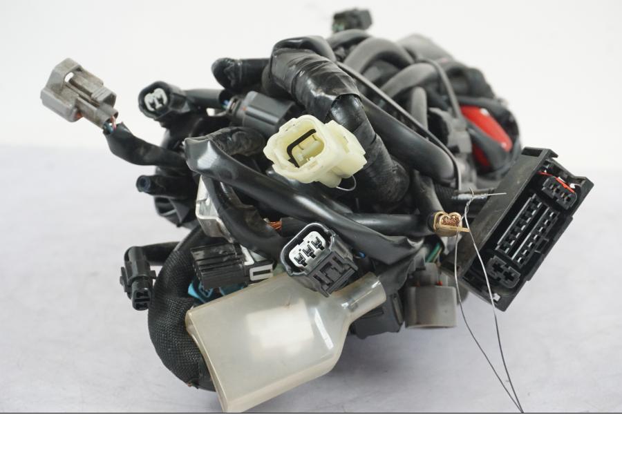 Extrabild2 på Kabelstam från en Kawasaki Z 900 -2019 motorcykel.