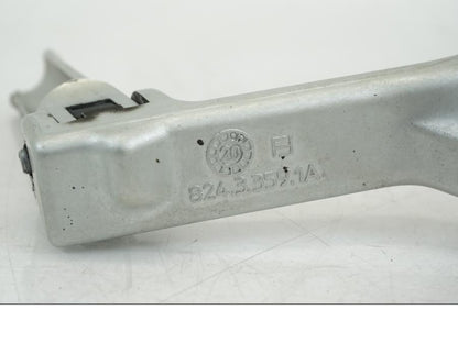 Extrabild4 på Fotpinne från en Ducati Streetfighter V4 -2020 motorcykel.