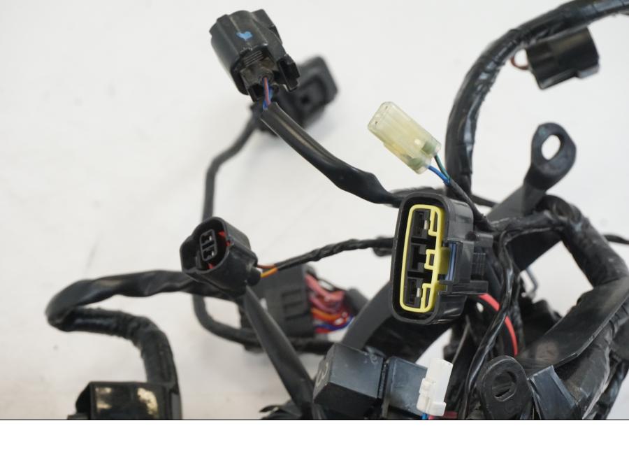 Extrabild5 på Kabelstam från en Triumph Speed Triple -2021 motorcykel.