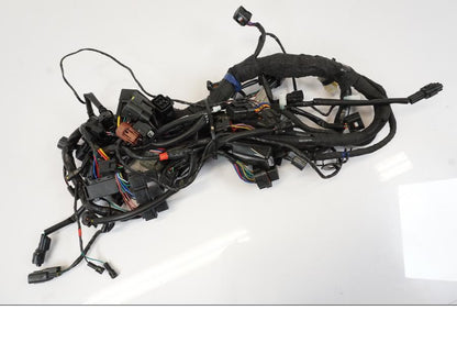 Framsidan på Kabelstam från en Triumph Trident -2021 motorcykel.