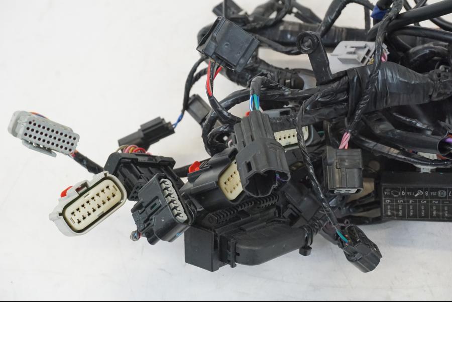 Baksidan på Kabelstam från en Triumph Speed Triple -2021 motorcykel.