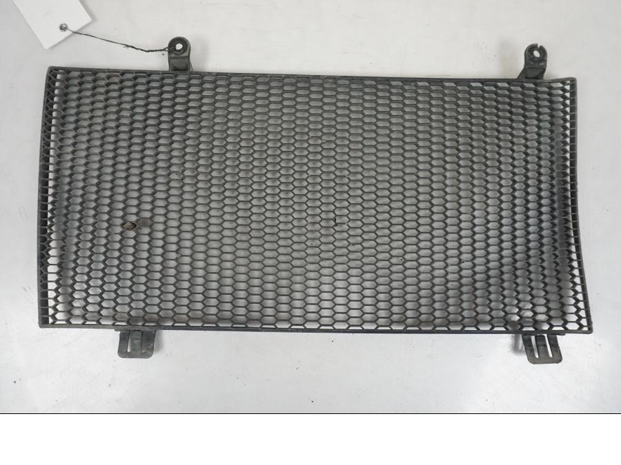 Framsidan på Vattenkylgaller från en BMW F 800 GS -2008 motorcykel.