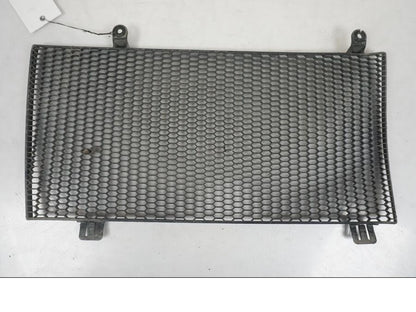 Framsidan på Vattenkylgaller från en BMW F 800 GS -2008 motorcykel.