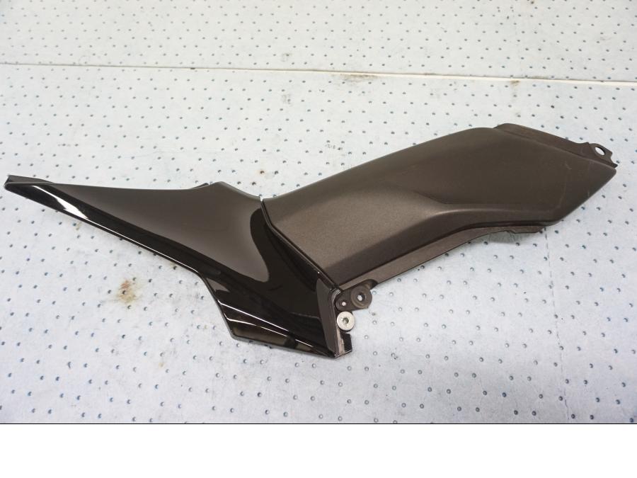 Framsidan på Sidopanel från en Kawasaki Z 900 -2019 motorcykel.