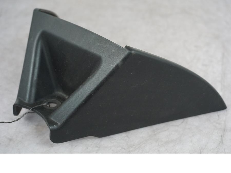 Baksidan på Tankkåpa från en Triumph Tiger -2009 motorcykel.