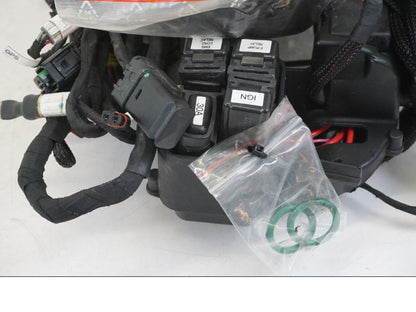 Extrabild1 på Kabelstam från en Ducati Streetfighter V4 -2020 motorcykel.