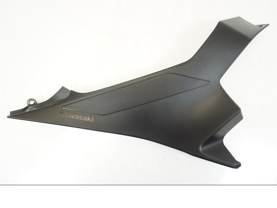 Framsidan på Sidopanel från en Kawasaki NINJA 400 -2020 motorcykel.