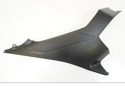 Framsidan på Sidopanel från en Kawasaki NINJA 400 -2020 motorcykel.