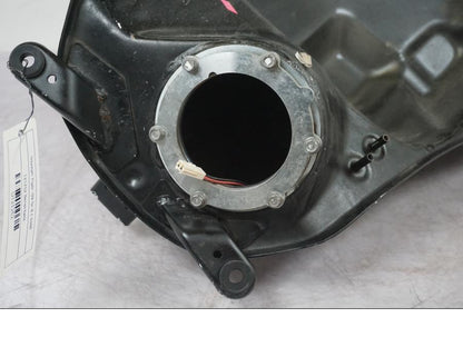 Extrabild4 på Bensintank från en Triumph Tiger -2009 motorcykel.