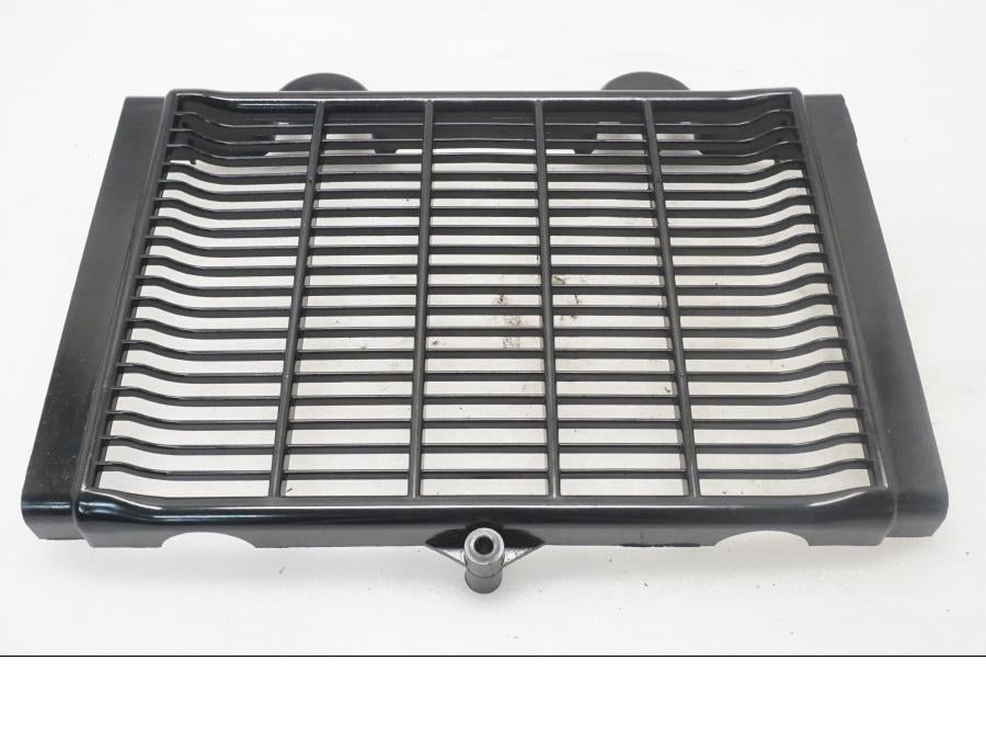 Framsidan på Vattenkylgaller från en Triumph Legend TT -2000 motorcykel.