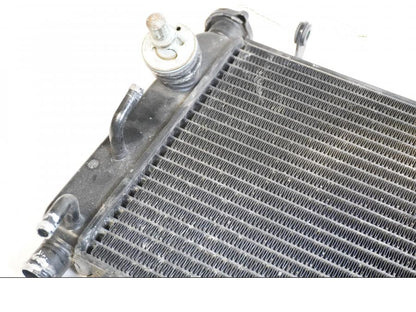 Baksidan på Vattenkyl från en Triumph TT 600 -2000 motorcykel.