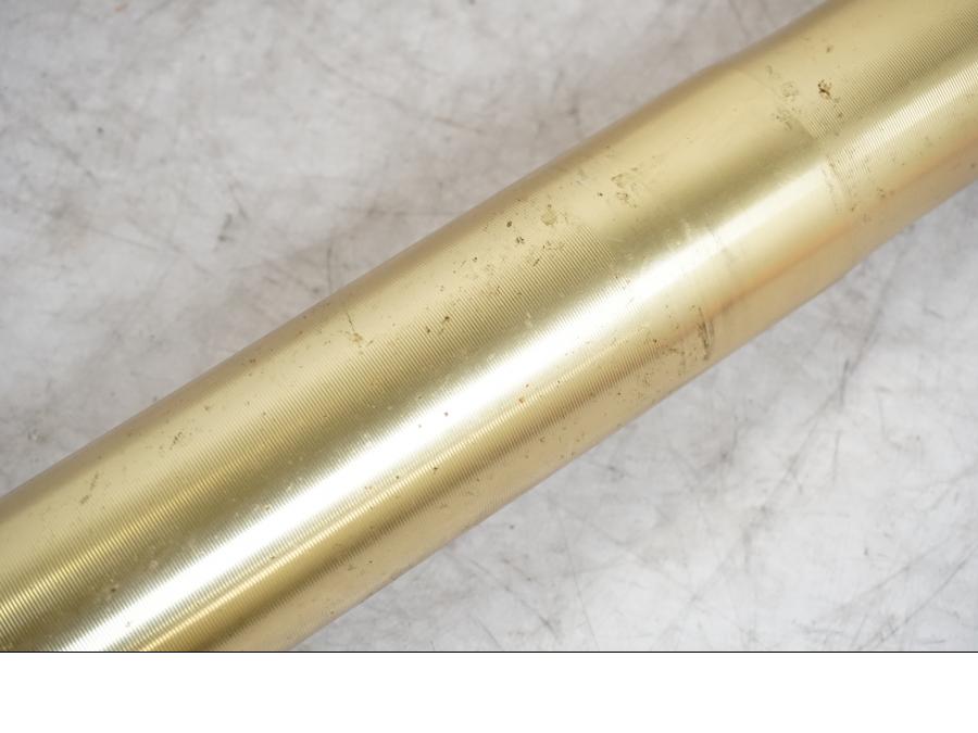 Extrabild5 på Gaffelben från en Triumph Tiger -2009 motorcykel.