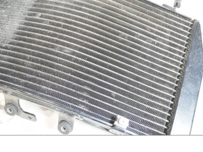 Extrabild1 på Vattenkyl från en Triumph Tiger -2012 motorcykel.