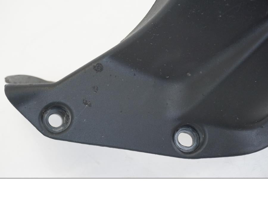 Baksidan på Svingskärm från en Ducati Streetfighter V4 -2020 motorcykel.