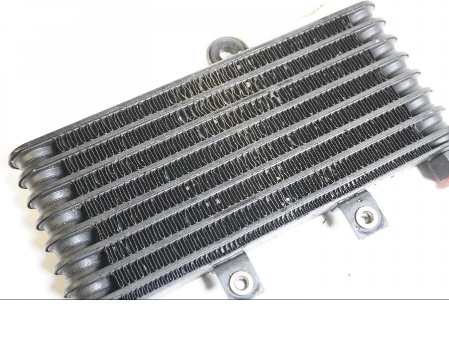 Baksidan på Oljekyl från en Triumph Daytona T 595 -1998 motorcykel.