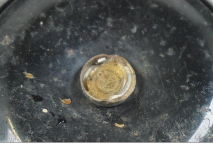 Baksidan på Signalhorn / Tuta från en Triumph Tiger -2009 motorcykel.