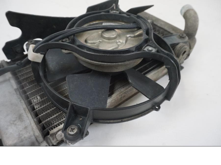 Extrabild1 på Vattenkyl från en Honda XL 1000 V -2008 motorcykel.