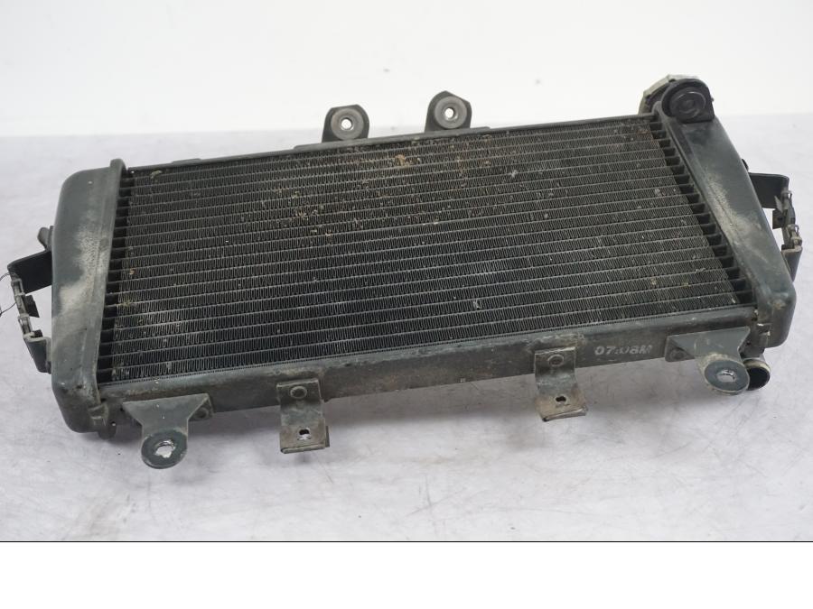 Baksidan på Vattenkyl från en Triumph Tiger -2009 motorcykel.