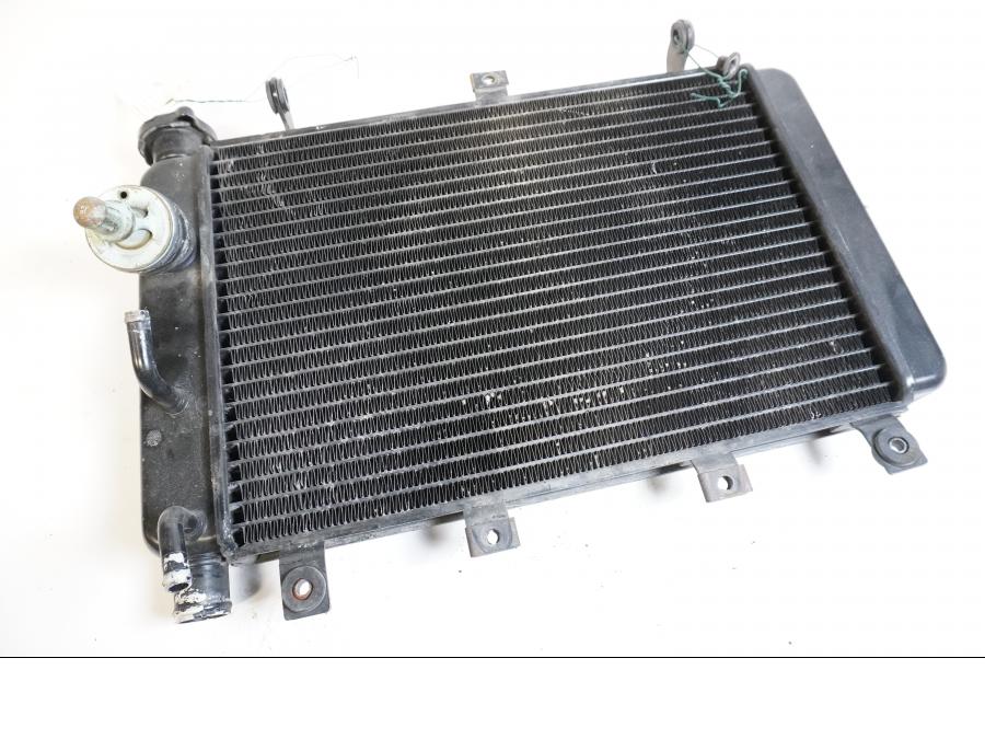 Framsidan på Vattenkyl från en Triumph TT 600 -2000 motorcykel.