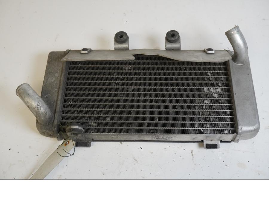 Baksidan på Vattenkyl från en Honda XL 1000 V -1999 motorcykel.