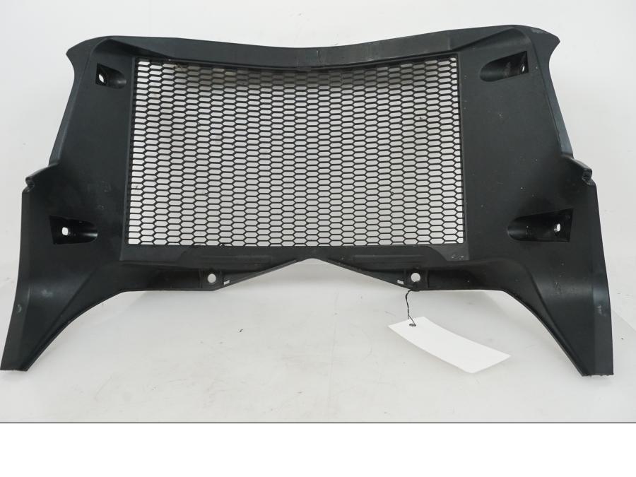 Framsidan på Vattenkylgaller från en BMW F 750 GS -2019 motorcykel.