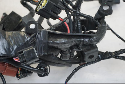 Extrabild4 på Kabelstam från en Triumph Speed Triple -2021 motorcykel.