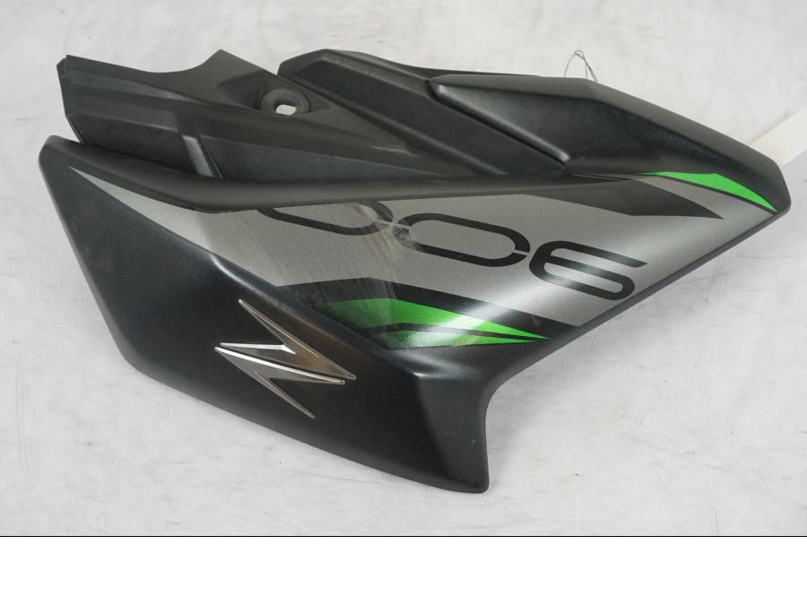 Vänster sida på Sidkåpa från en Kawasaki Z 900 -2019 motorcykel.