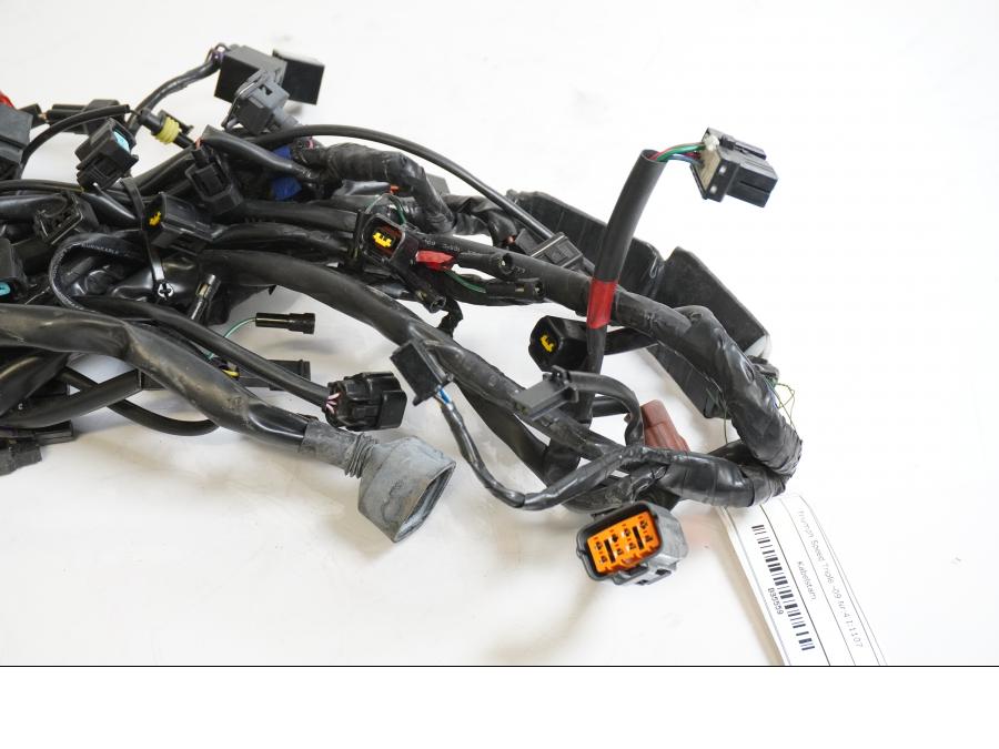 Baksidan på Kabelstam från en Triumph Speed Triple -2009 motorcykel.