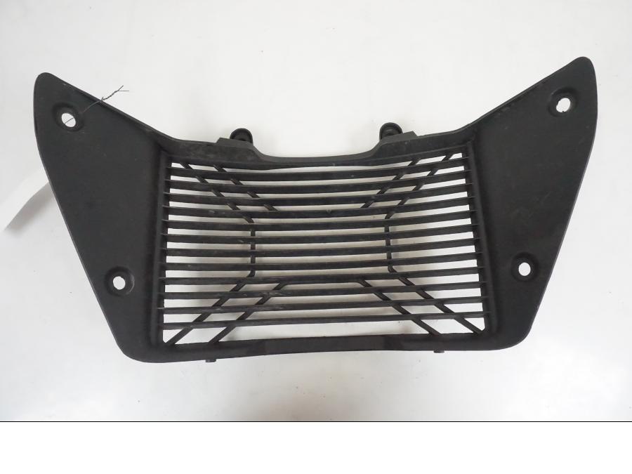 Framsidan på Vattenkylgaller från en KTM 390 Adventure -2021 motorcykel.