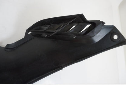 Extrabild2 på Sidopanel från en BMW S 1000 R -2019 motorcykel.