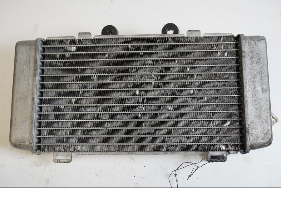 Baksidan på Vattenkyl från en Honda XL 1000 V -2008 motorcykel.