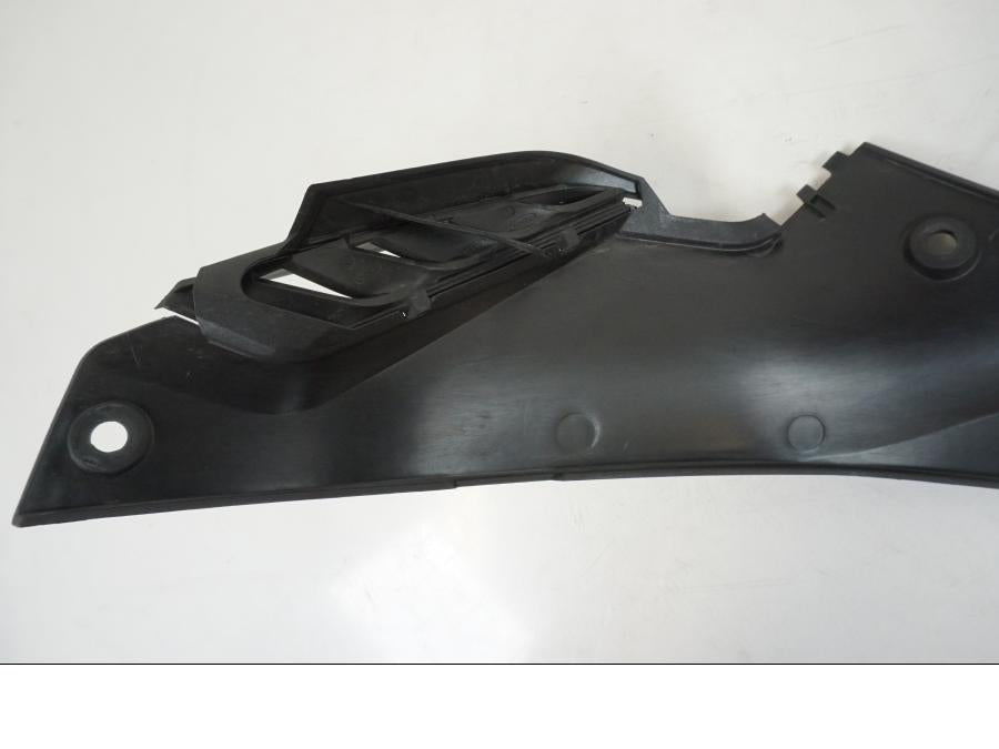 Extrabild2 på Sidopanel från en BMW S 1000 R -2019 motorcykel.