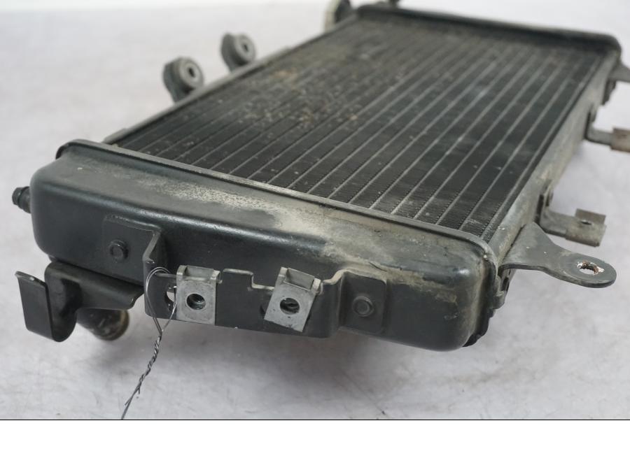 Vänster sida på Vattenkyl från en Triumph Tiger -2009 motorcykel.