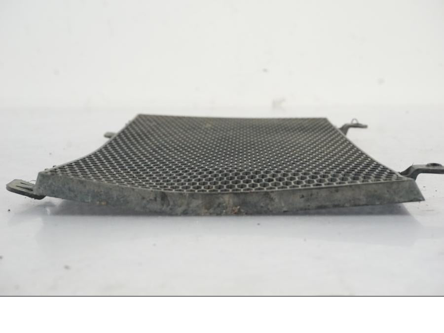 Baksidan på Vattenkylgaller från en BMW F 800 GS -2008 motorcykel.