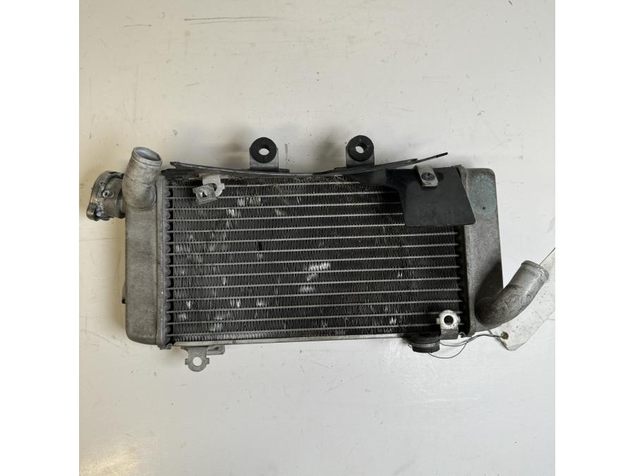 Baksidan på Vattenkyl från en Honda XL 1000 V -2008 motorcykel.