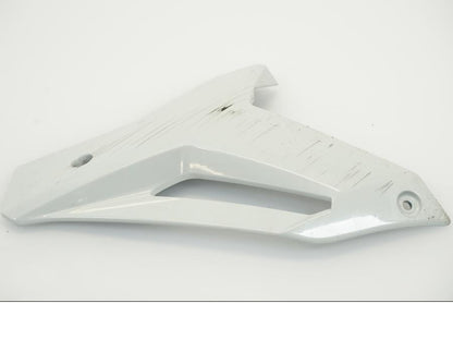 Framsidan på Magkåpa från en BMW S 1000 R -2019 motorcykel.