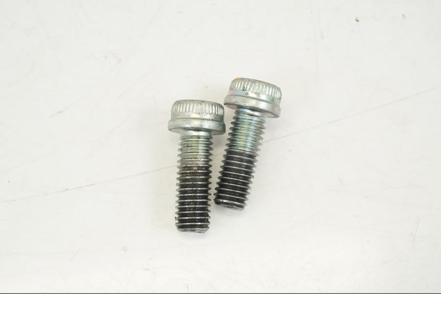 Baksidan på Fotpinne från en Ducati Streetfighter V4 -2020 motorcykel.