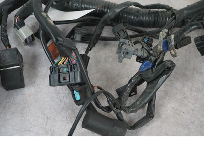 Extrabild2 på Kabelstam från en Triumph Tiger -2009 motorcykel.