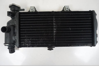 Extrabild1 på Vattenkyl från en BMW F 650 CS -2002 motorcykel.